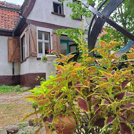 Bed and Breakfast Dom Na Mazurach Pilec Экстерьер фото