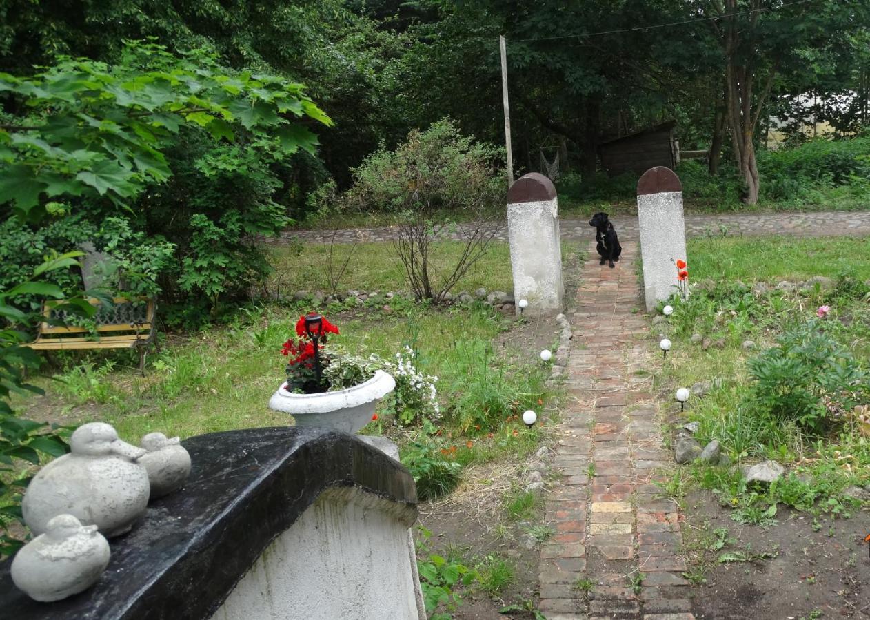 Bed and Breakfast Dom Na Mazurach Pilec Экстерьер фото