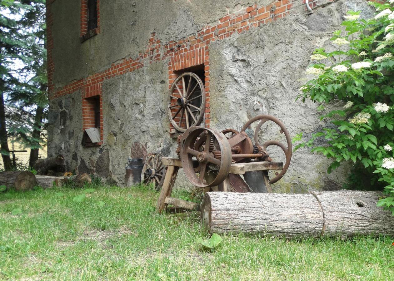 Bed and Breakfast Dom Na Mazurach Pilec Экстерьер фото