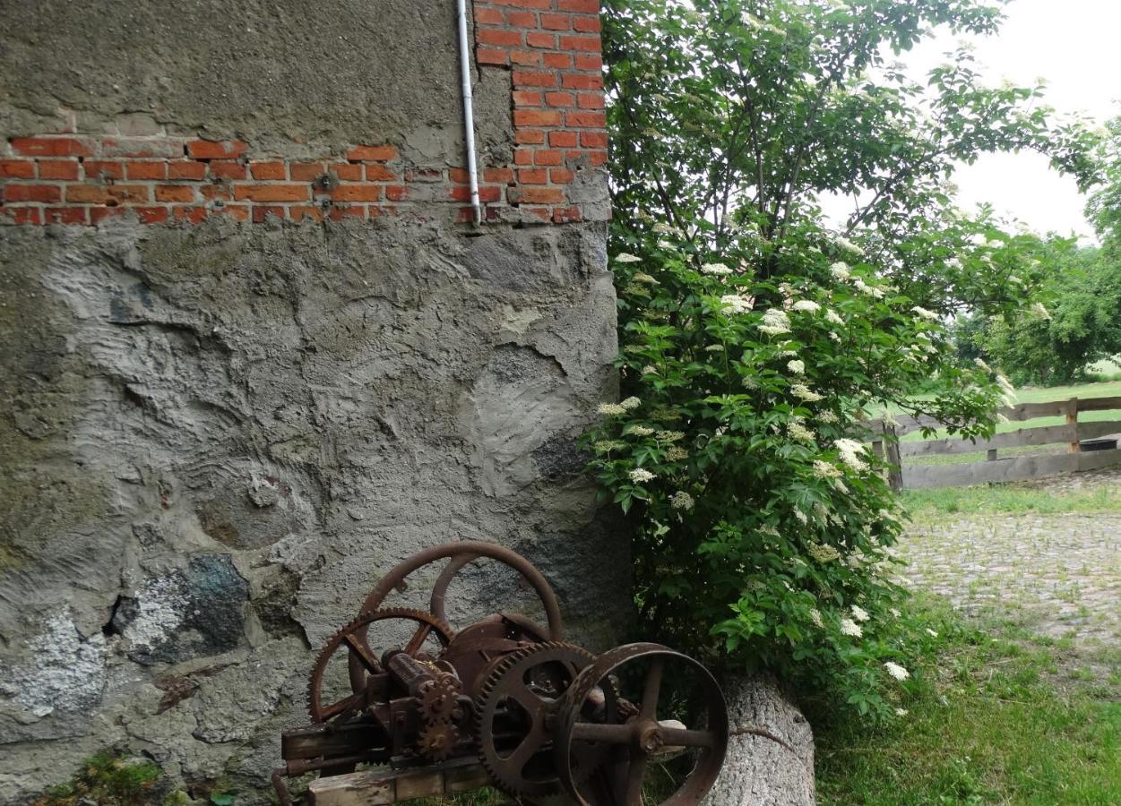 Bed and Breakfast Dom Na Mazurach Pilec Экстерьер фото