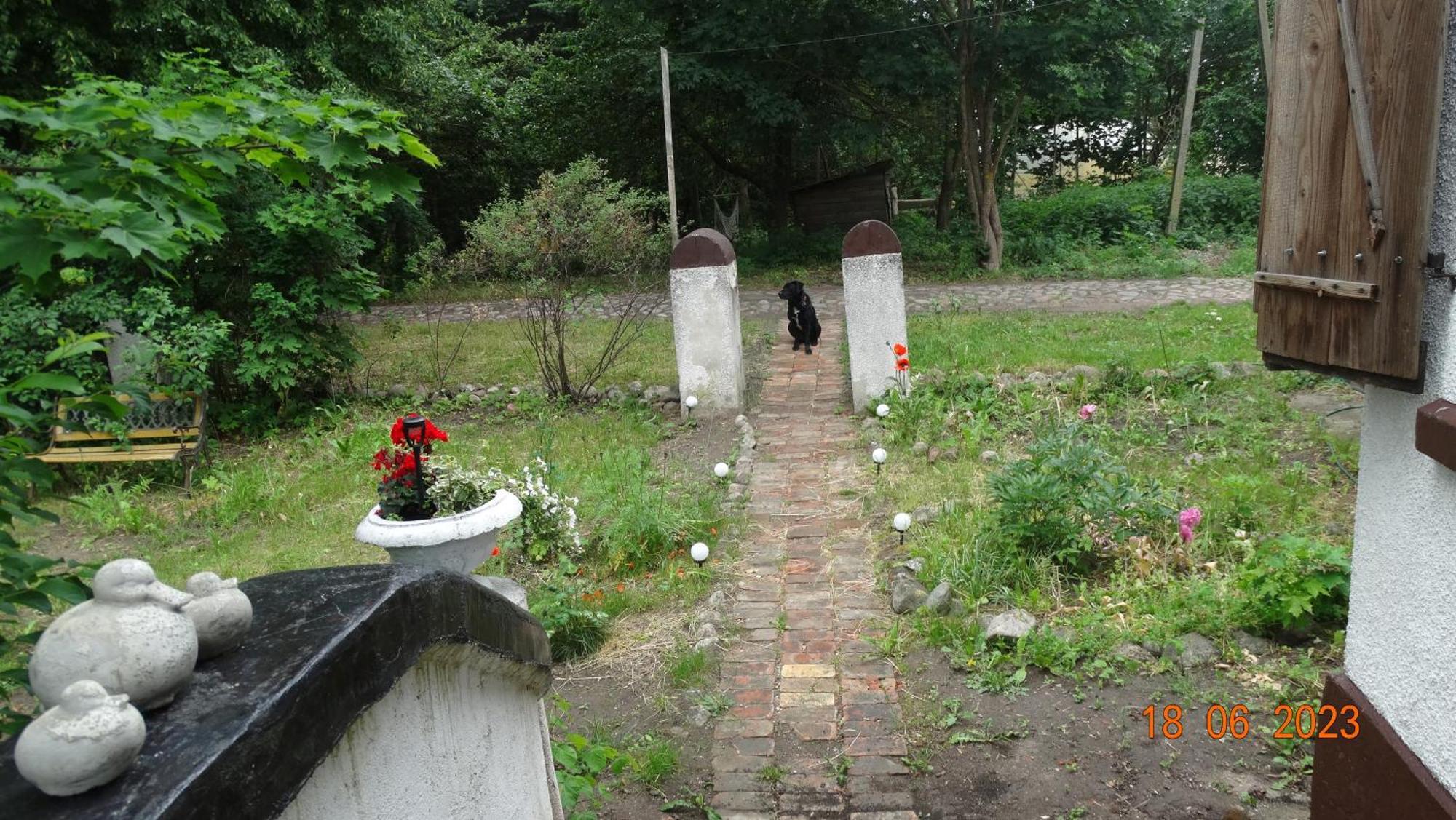 Bed and Breakfast Dom Na Mazurach Pilec Экстерьер фото