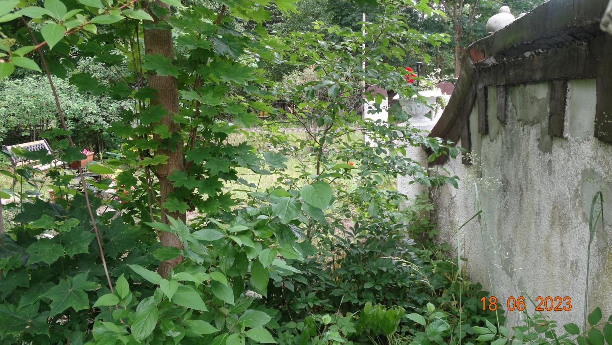 Bed and Breakfast Dom Na Mazurach Pilec Экстерьер фото