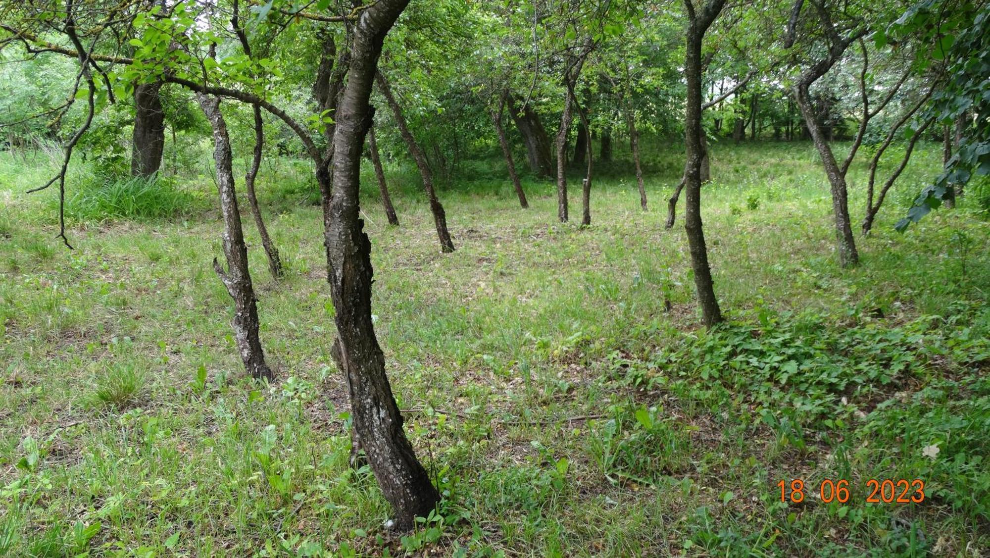Bed and Breakfast Dom Na Mazurach Pilec Экстерьер фото