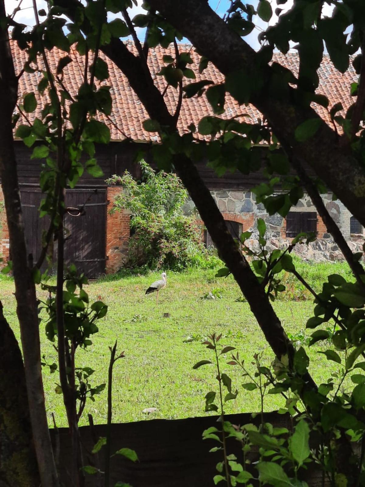Bed and Breakfast Dom Na Mazurach Pilec Экстерьер фото